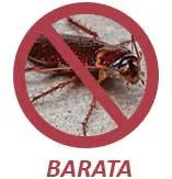 Barata